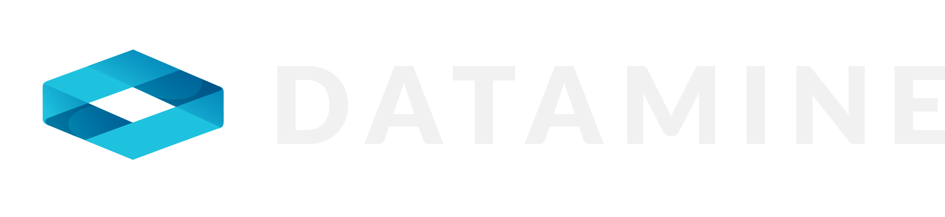 Datamine White Logo